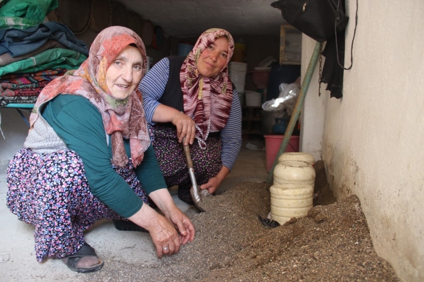 Kuma gömdükleri peyniri, 3 yıl boyunca bozulmadan tüketebiliyorlar