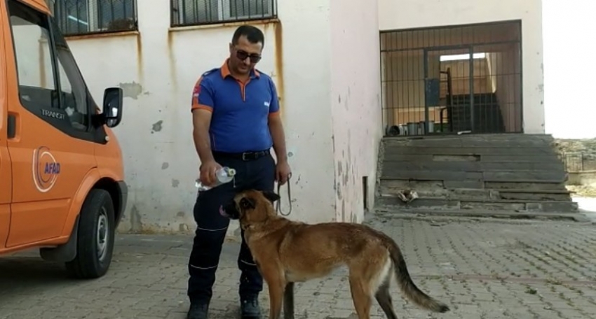 Kayıp epilepsi hastası için drone ve K9 köpeğiyle arama çalışması başlatıldı