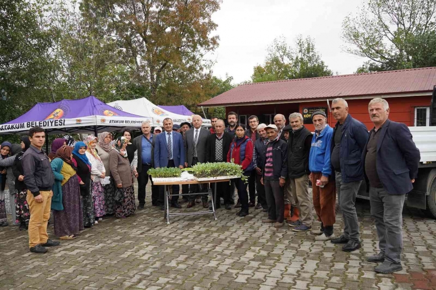 Üreticiye 40 bin adet sebze fidesi