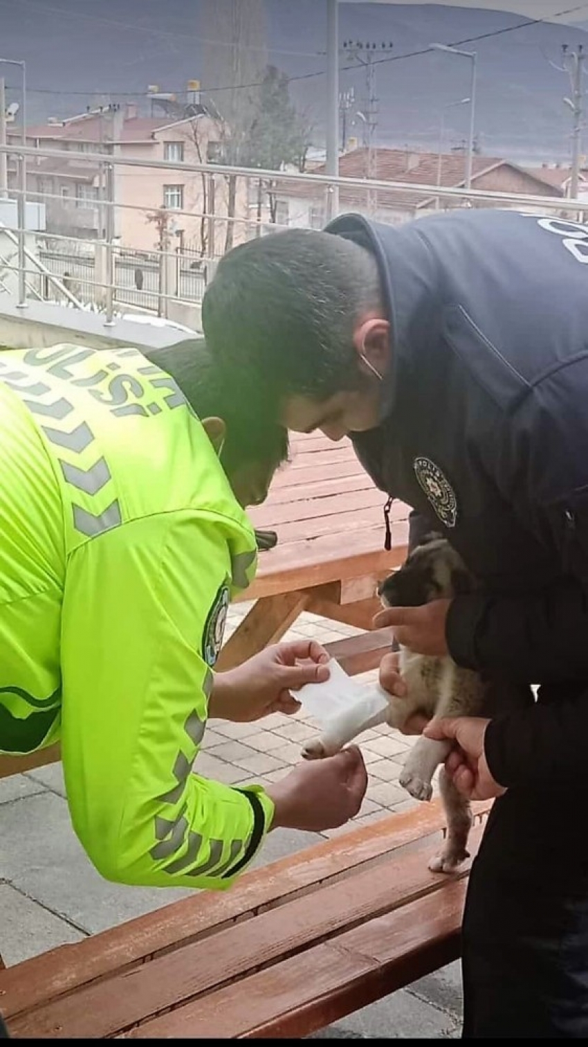 Yaralı köpeğe polis şefkati