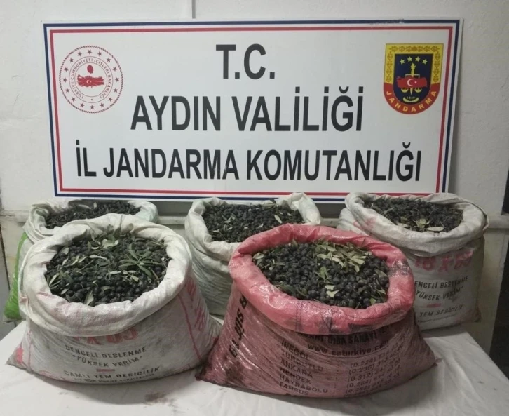 Çaldılar, yağ yapıp sattılar
