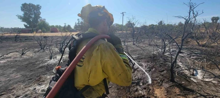 California’da orman yangını: 3 bin 400 hektar alan yandı
