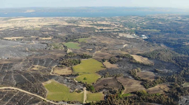 Çanakkale’de 52 saat sonra kontrol altına alınan yangın sonrası yanan alanlar dron ile görüntülendi
