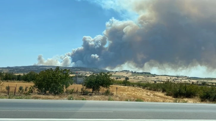 Çanakkale’de orman yangını
