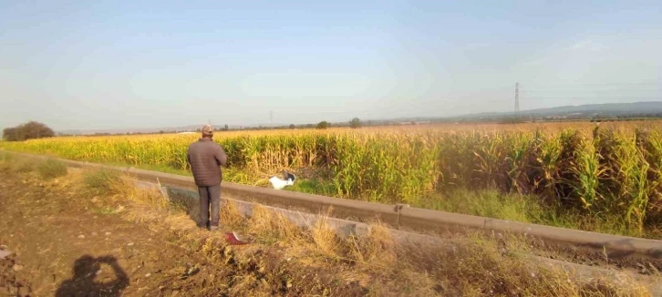 Çanakkale’de otomobil mısır tarlasına uçtu: Anne ve kızı hayatını kaybetti
