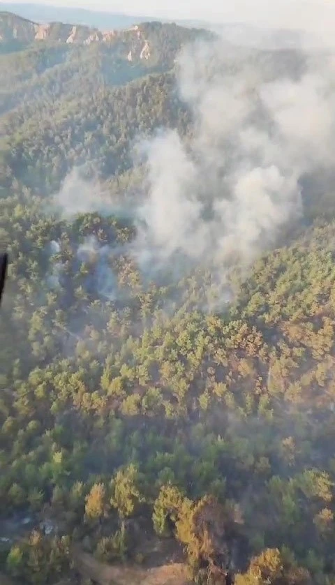 Çanakkale’deki orman yangını havadan görüntülendi
