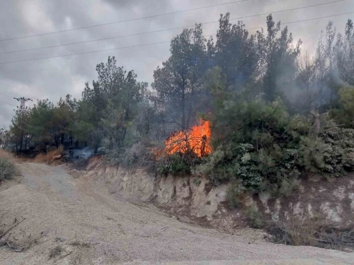 Çanakkale’deki orman yangını kontrol altına alındı
