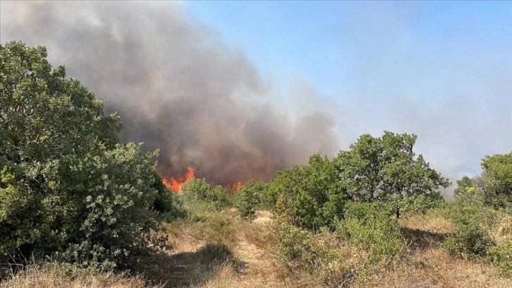 Çanakkale'de ağaçlık alanda çıkan yangın kontrol altına alındı