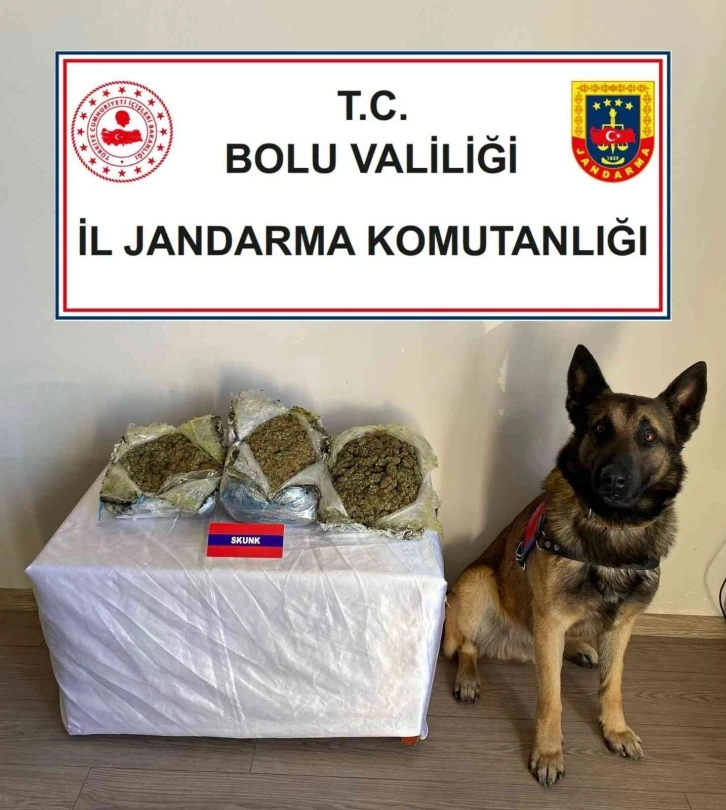 Çantalarında uyuşturucu taşıyan şüpheliler dedektör köpeğe takıldı
