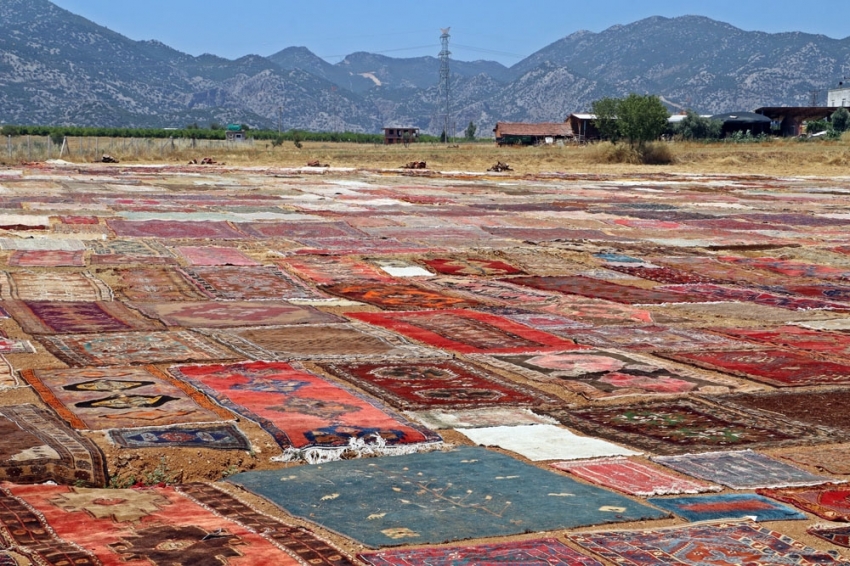 Turlarla geliyorlar, tarlada beğenip adresine gönderilmesini istiyorlar