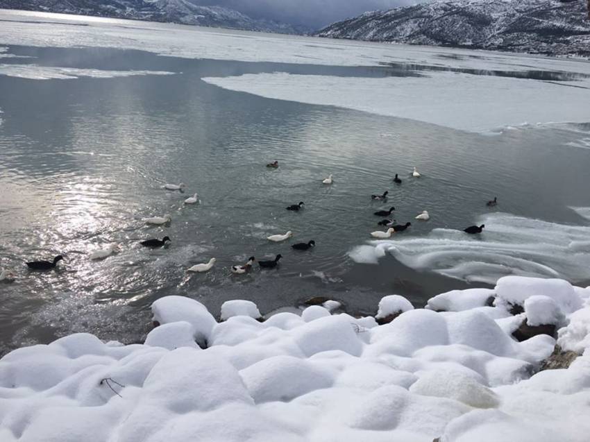 Eğirdir Gölü buz tuttu