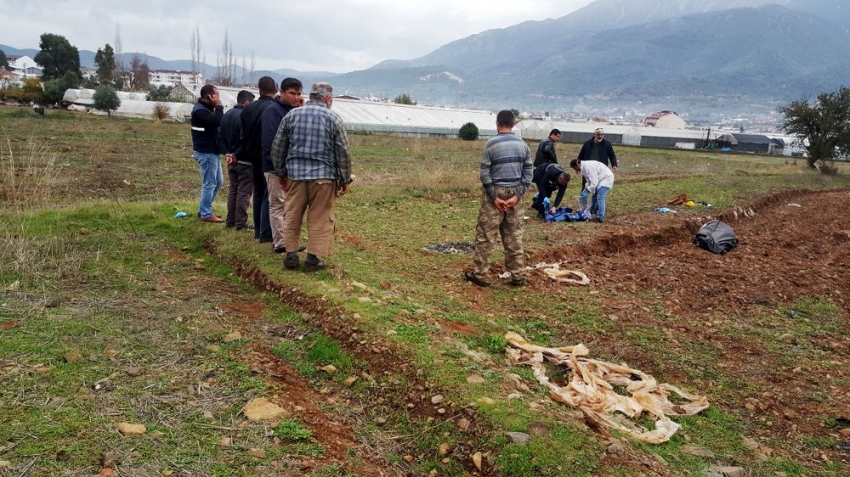 Kocasını dostuna öldürtüp timsah gözyaşları döktü