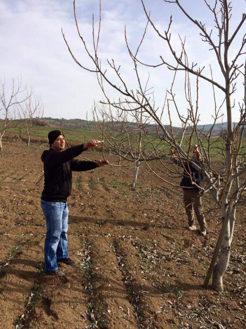 Yüksek verim için bunu yapın