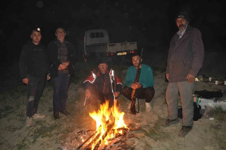 Çiftçiler ellerinde tüfeklerle domuz nöbeti tutuyor