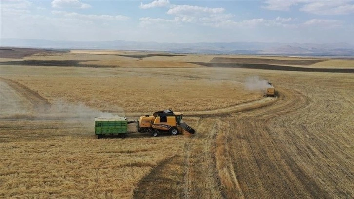 Çiftçilere 1 milyar 81 milyon liralık tarımsal destekleme ödemesi bugün yapılacak