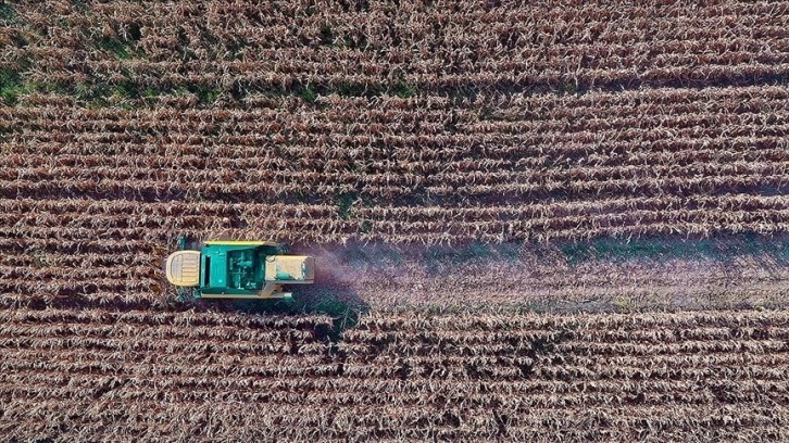 Çiftçilere yaklaşık 169 milyon liralık tarımsal destekleme ödemesi bugün yapılacak