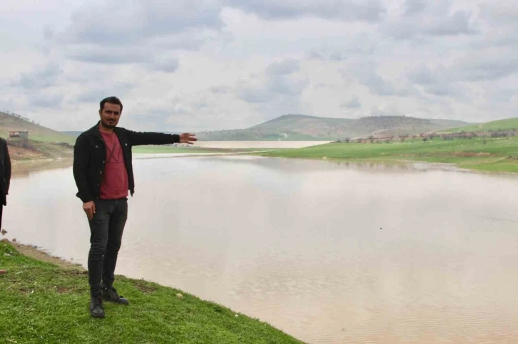 Çiftçinin evdeki hesabı çarşıya uymadı: Kuruyan gölette buğday ekti, sağanak biçti
