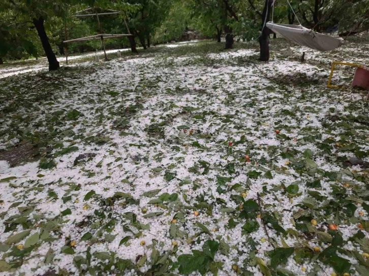 Çiftçinin yaşadığı mağduriyet ilgili makamlara iletildi
