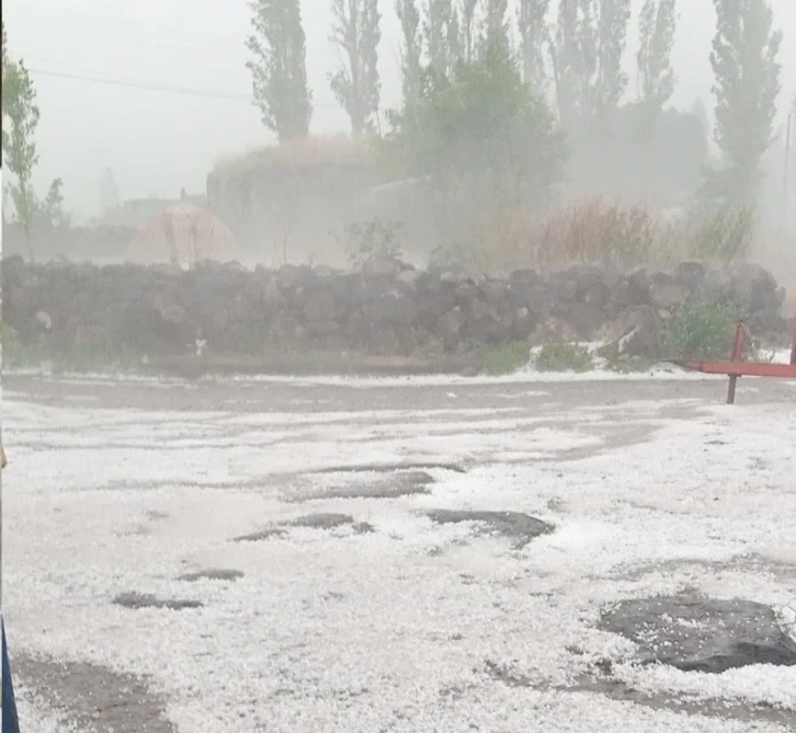 Çıldır’da dolu yağışı ekili alanlara zarar verdi
