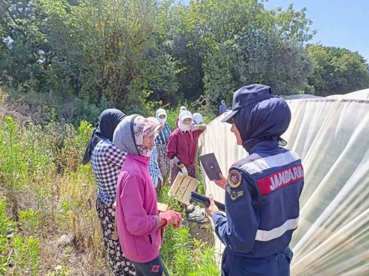 Çilek işçisi kadınlara “En iyi narkotik polisi anne” projesi anlatıldı
