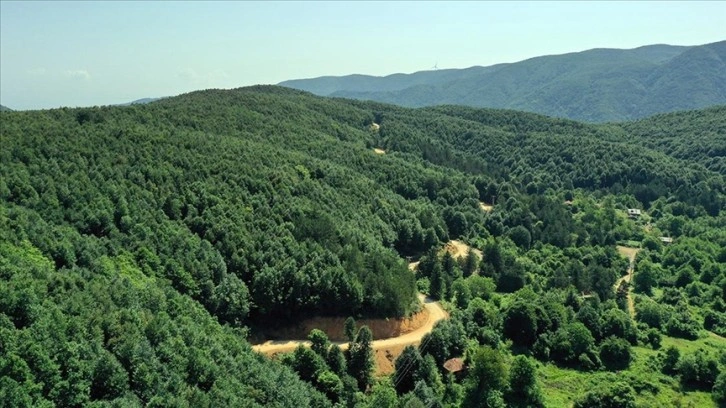 Çınarcık doğal güzellikleriyle turizm sezonunda nüfusunun 10 katını ağırlıyor