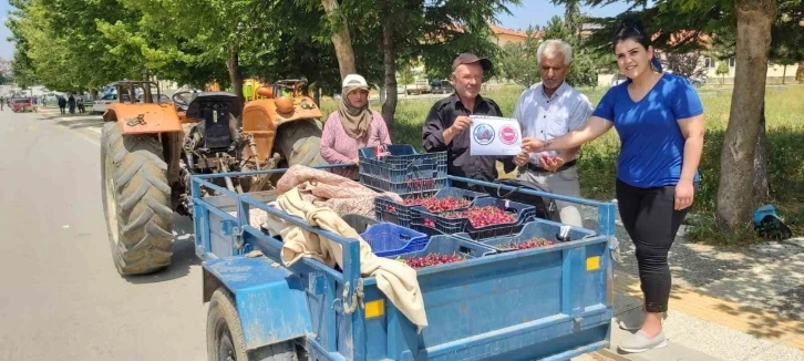 Coğrafi işaret alan Pazarlar kirazı denetlendi
