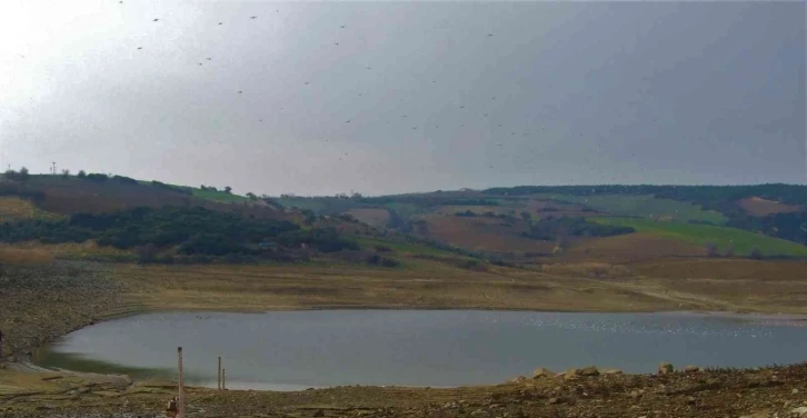 Çokal Baraj Gölü, Gökbüet Su Kooperatifine kiralandı