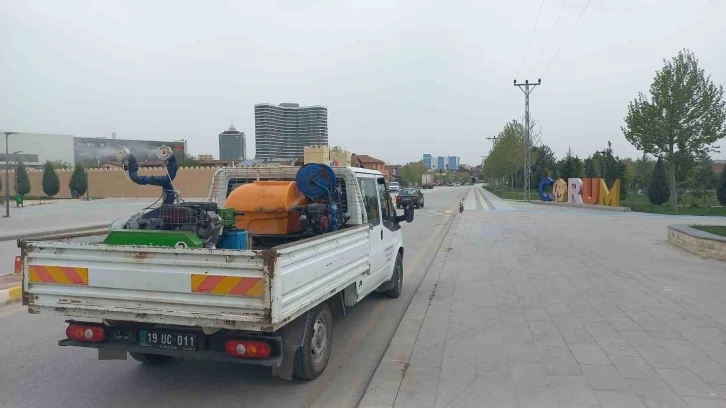 Çorum’da bu sene vektörel mücadeleye erken başlandı
