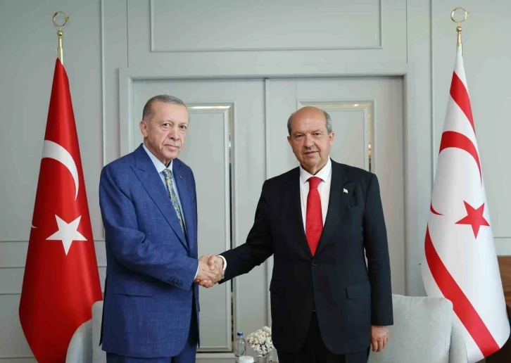 Cumhurbaşkanı Erdoğan, Tatar ile görüştü
