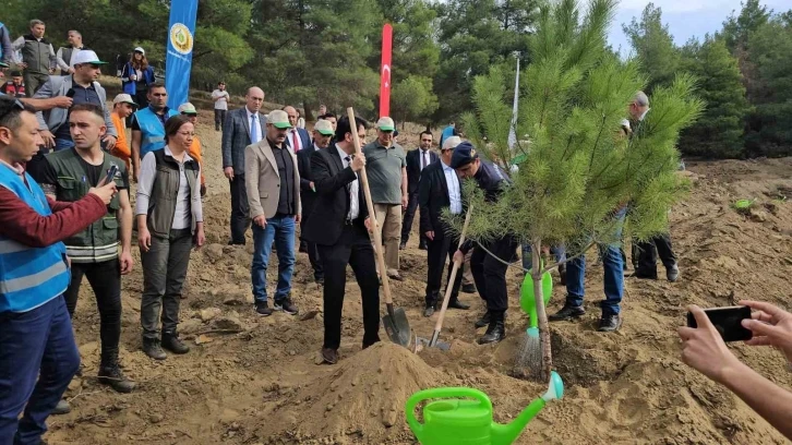 Cumhuriyete Nefes etkinliğinde binlerce fidan toprakla buluştu
