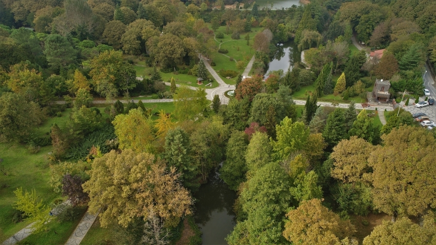 Atatürk Arboretumu hayran bırakıyor