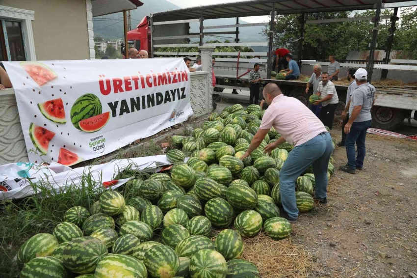 Karpuz tarlada kalmasın kampanyası