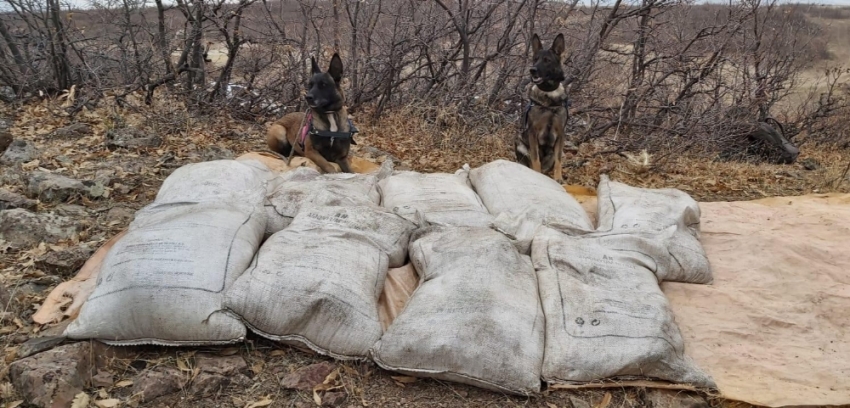 Bingöl’de 450 kilo amonyum nitrat ele geçirildi