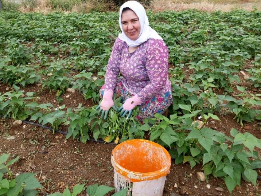 Bursa'nın meşhur 