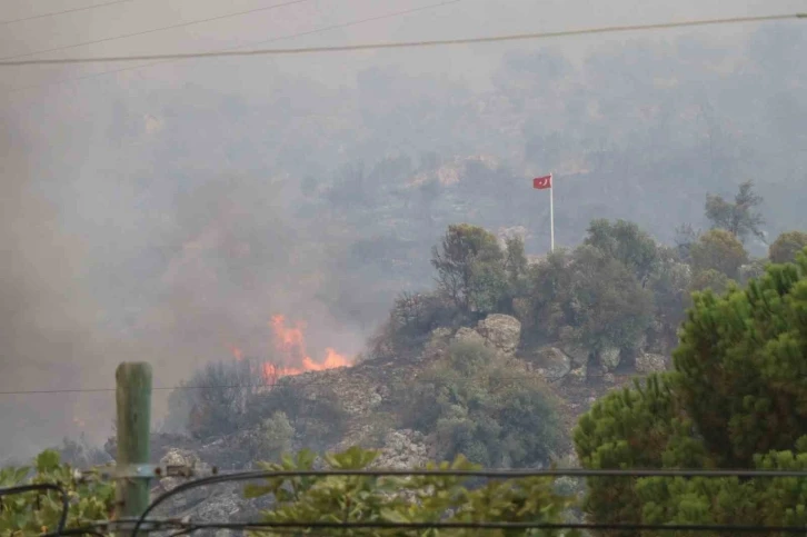 Dağ taş yandı, Türk bayrağı alevlerden korundu
