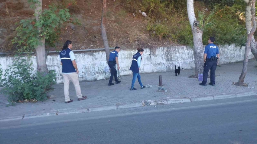 Polis sokak hayvanlarını unutmadı