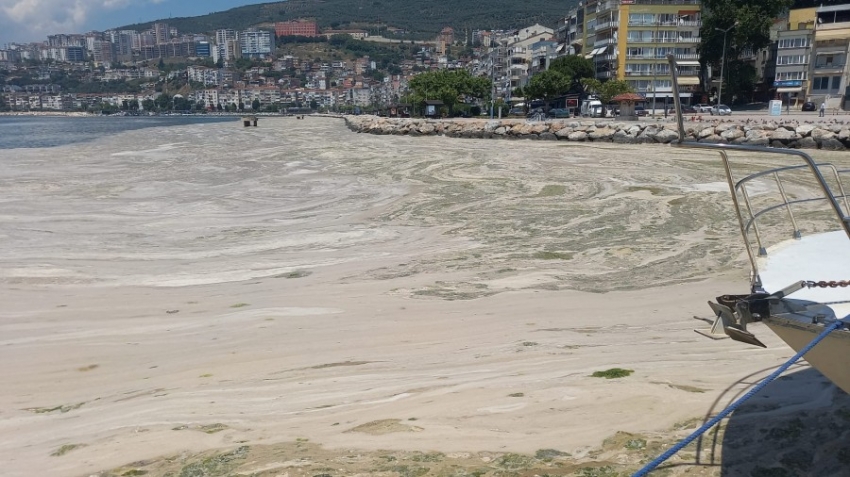 Gemlik Körfezi'nde durum kötüye gidiyor!