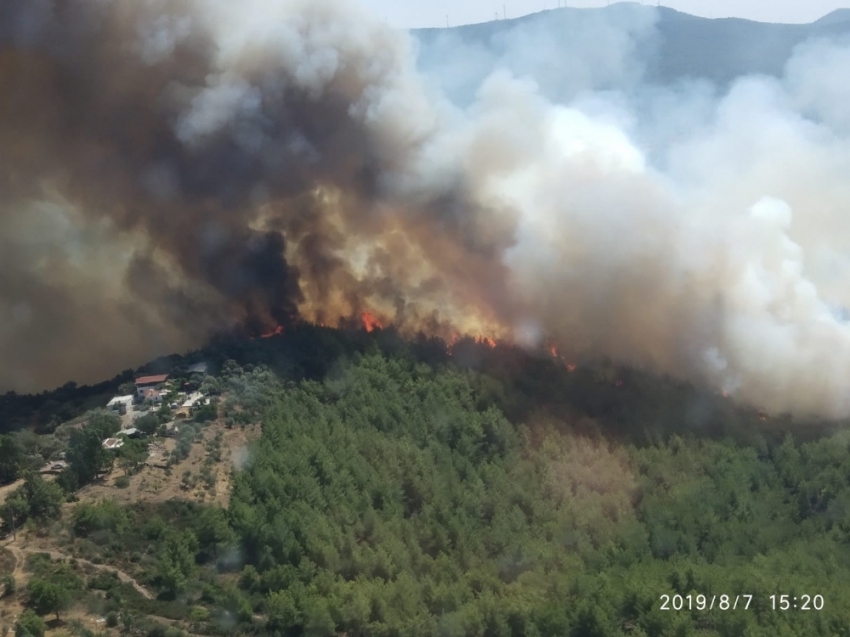Orman Genel Müdürlüğünden ‘Bodrum Yangını’ açıklaması 