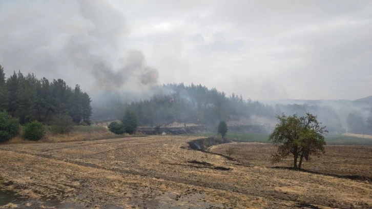 Denizli’deki yangın yerleşim alanlarından uzaklaştı
