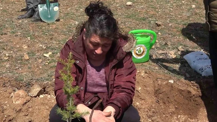 Depremde kız kardeşini ve akrabalarını kaybetti: Onlar için diktiği fidanı gözyaşıyla suladı
