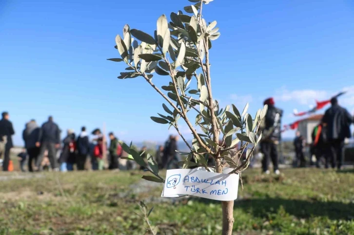 Depremde vefat eden 25 bin insanın ismi zeytin ağaçlarında yaşatılacak
