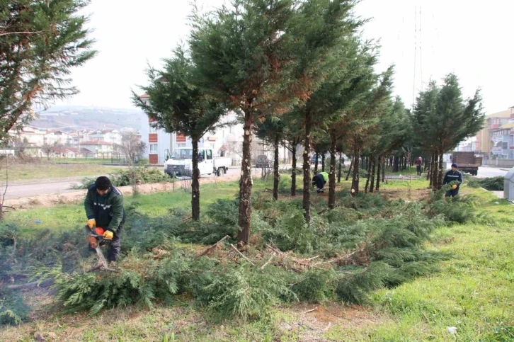 Derince’nin sokakları bahara hazırlanıyor
