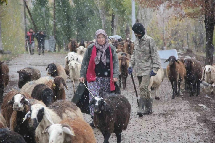 Devletten destek alan kadın çiftçi hayvan varlığını 2 katına çıkardı
