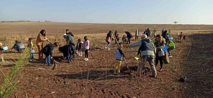 Dicle Üniversitesi 750 ağaç ile yeşillendirildi
