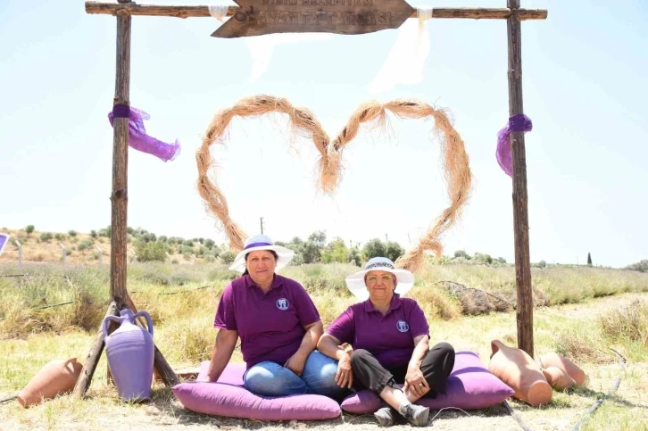 Didim’in mis kokulu Lavanta Festivali’ne sayılı günler kaldı
