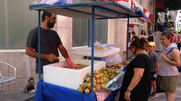 Dikenli incir tezgahlarda yerini aldı