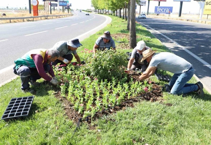 Diyarbakır’da 32 bin mevsimlik çiçek refüj ve kavşaklara dikildi
