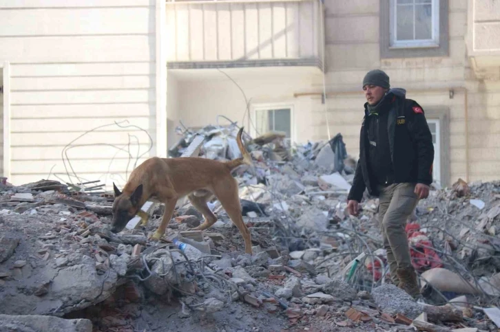 Diyarbakır’da depremde 7 sağlık çalışanı hayatını kaybetti