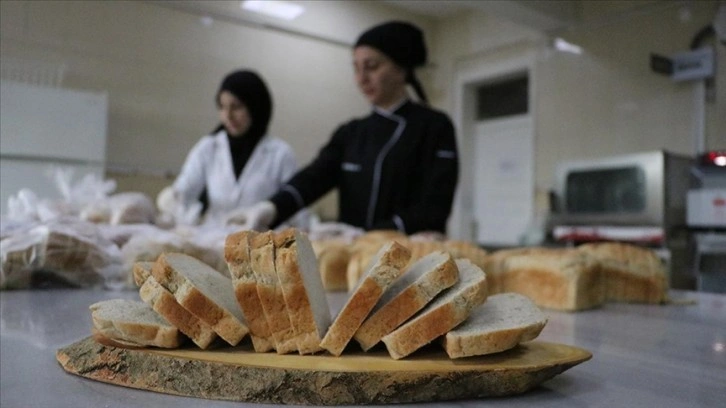 Diyarbakır'da kurulan 