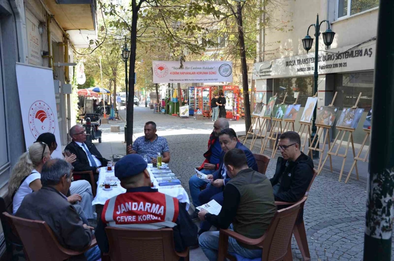 DKMP, Hayvanları Koruma Günü’nde vatandaşları bilgilendirdi
